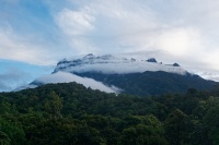 Borneo - Mt Kinabalu o0722